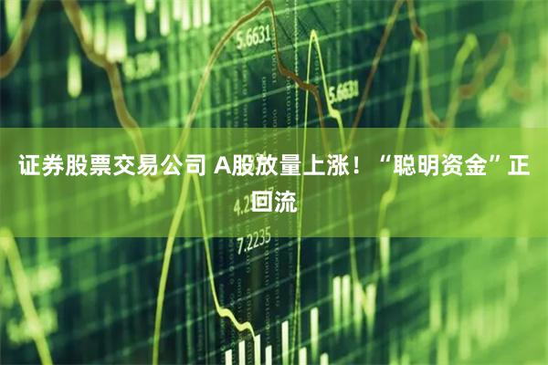 证券股票交易公司 A股放量上涨!“聪明资金”正回流