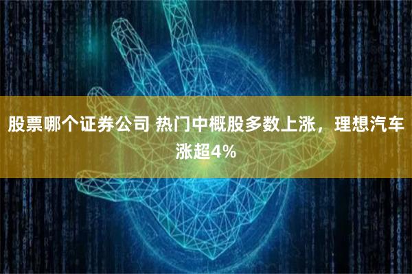 股票哪个证券公司 热门中概股多数上涨，理想汽车涨超4%