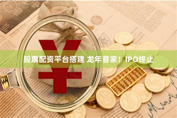 股票配资平台搭建 龙年首家!IPO终止