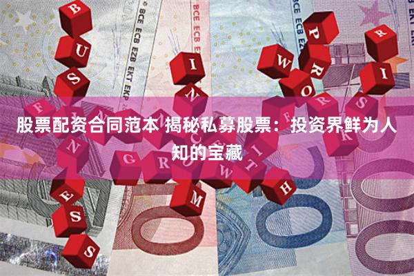 股票配资合同范本 揭秘私募股票：投资界鲜为人知的宝藏