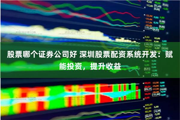 股票哪个证券公司好 深圳股票配资系统开发：赋能投资，提升收益