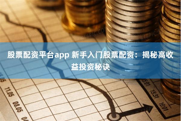股票配资平台app 新手入门股票配资:揭秘高收益投资秘诀